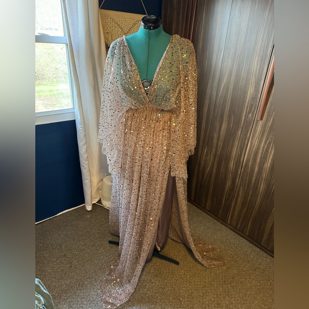 Sequin sheer gown with bottom slip for photography